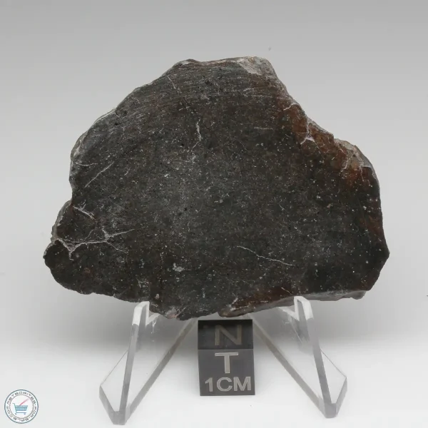 NWA 400 Meteorite 23.8g
