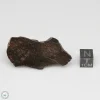 NWA 400 Meteorite 27.1g