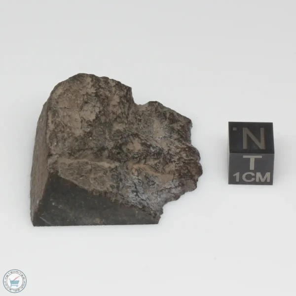 NWA 775 Meteorite 36.4g Part End Cut