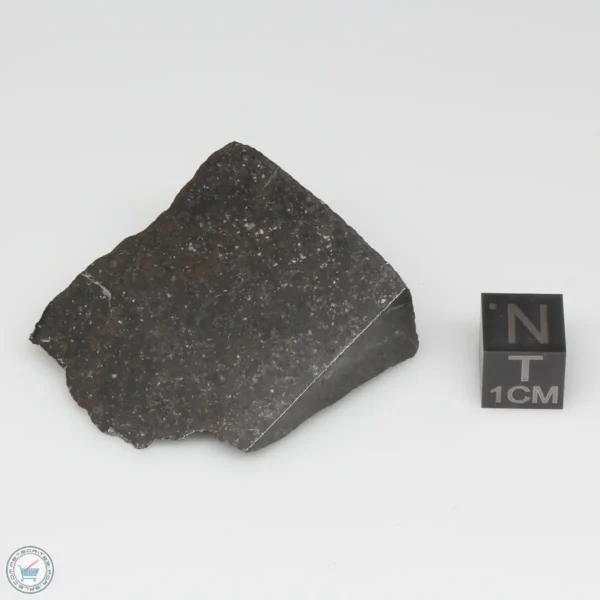 NWA 775 Meteorite 36.4g Part End Cut