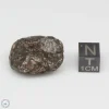 NWA 869 Meteorite 13.9g