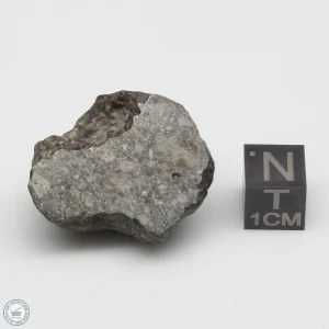 NWA 869 Meteorite 16.8g Windowed