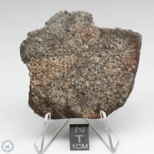 NWA 869 Meteorite 19.7g