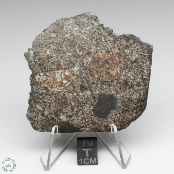 NWA 869 Meteorite 22.8g