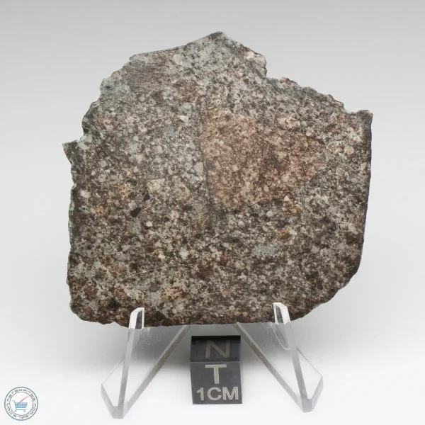 NWA 869 Meteorite 20.9g