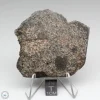 NWA 869 Meteorite 18.9g