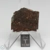 Dhofar 1289 Meteorite 7.0g