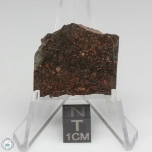 Dhofar 1289 Meteorite 7.0g