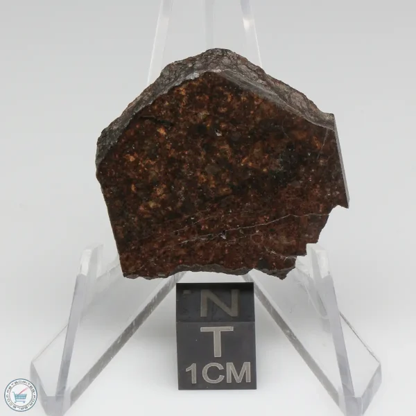 Dhofar 1289 Meteorite 7.1g