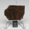 Dhofar 1289 Meteorite 10.8g
