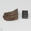 Dhofar 1289 Meteorite 5.0g Part End Cut