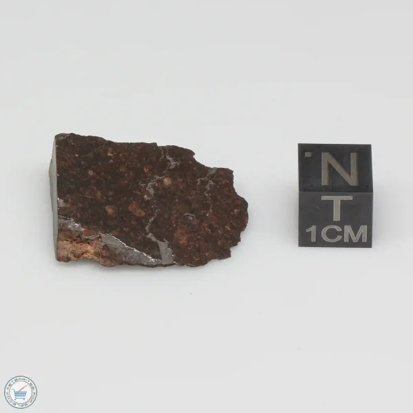 Dhofar 1289 Meteorite 5.0g Part End Cut