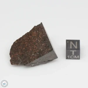 Dhofar 1289 Meteorite 19.5g Part End Cut