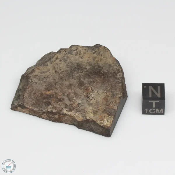 Dhofar 1289 Meteorite 46.2g Part End Cut