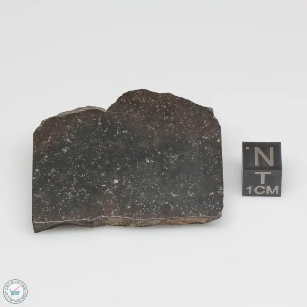 Dhofar 1289 Meteorite 46.2g Part End Cut