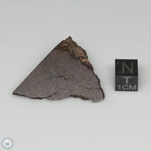 Dhofar 1289 Meteorite 13.2g