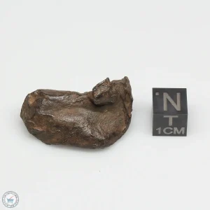 Gebel Kamil Iron Meteorite 27.4g