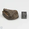 Gebel Kamil Iron Meteorite 31.7g