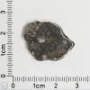 Laâyoune 002 Lunar Meteorite 1.30g