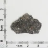 Laâyoune 002 Lunar Meteorite 1.16g