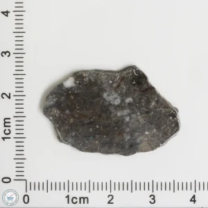 Laâyoune 002 Lunar Meteorite 2.07g