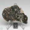 Bechar 008 Howardite Meteorite 19.7g Slice