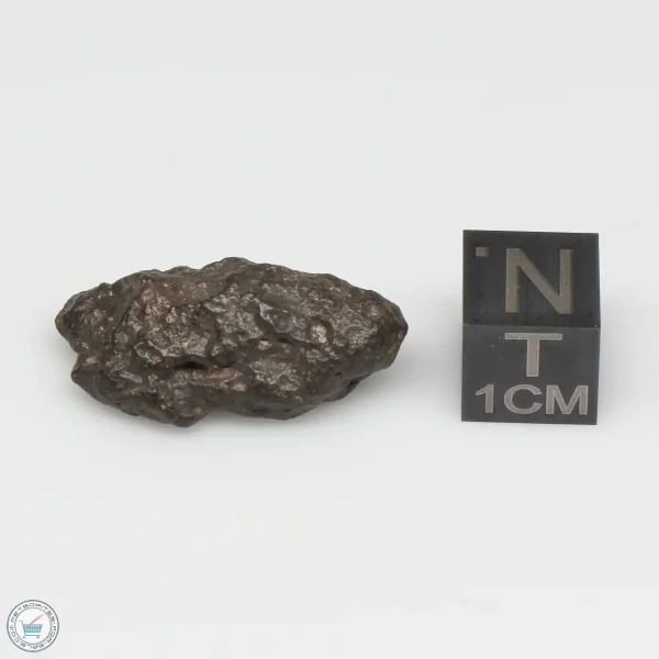 Bechar 008 Howardite Meteorite 4.1g
