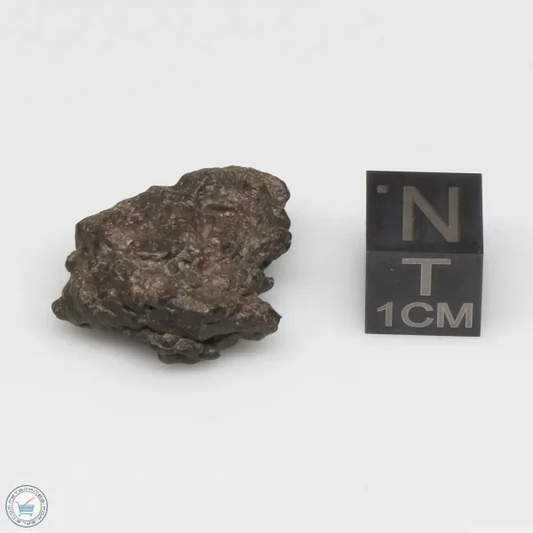 Bechar 008 Howardite Meteorite 4.6g