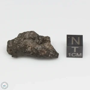 Bechar 008 Howardite Meteorite 8.4g