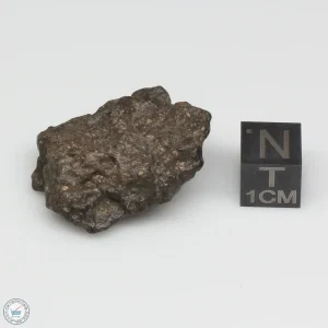 Bechar 008 Howardite Meteorite 10.6g