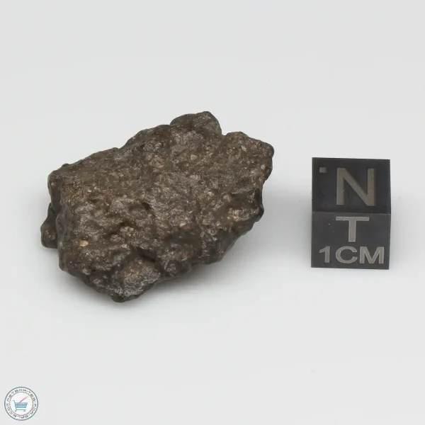 Bechar 008 Howardite Meteorite 10.6g