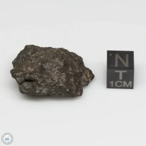 Bechar 008 Howardite Meteorite 10.6g