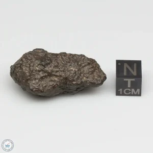 Bechar 008 Howardite Meteorite 16.6g