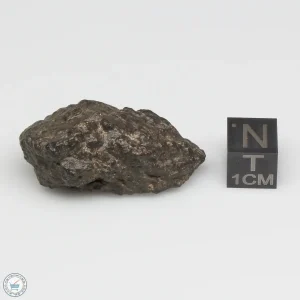 Bechar 008 Howardite Meteorite 16.6g