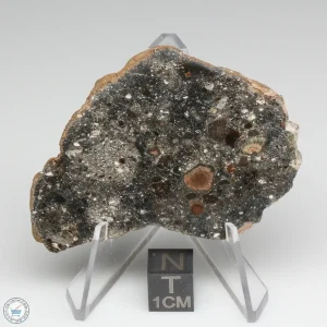 Bechar 008 Howardite Meteorite 21.1g Slice