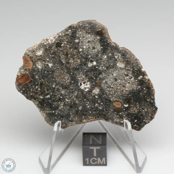 Bechar 008 Howardite Meteorite 19.3g Slice