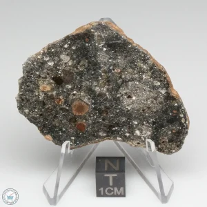 Bechar 008 Howardite Meteorite 19.7g Slice