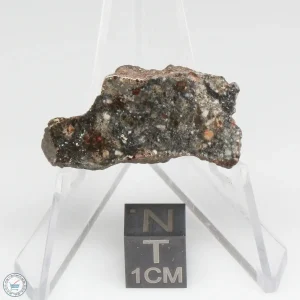 Bechar 008 Howardite Meteorite 6.5g End Cut