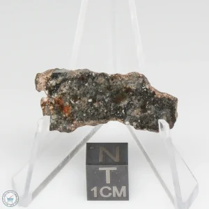 Bechar 008 Howardite Meteorite 6.0g End Cut