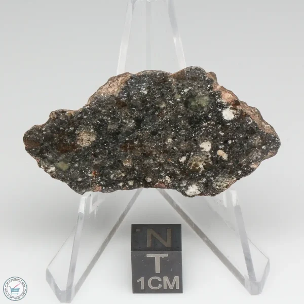 Bechar 008 Howardite Meteorite 17.5g End Cut