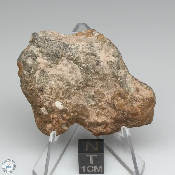 Bechar 008 Howardite Meteorite 30.7g End Cut