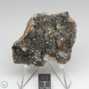 Bechar 008 Howardite Meteorite 30.7g End Cut