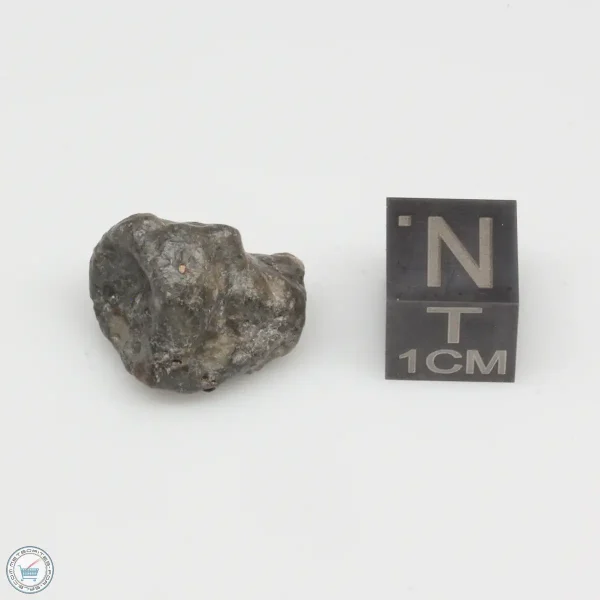Laâyoune 002 Lunar Meteorite 2.95g Individual
