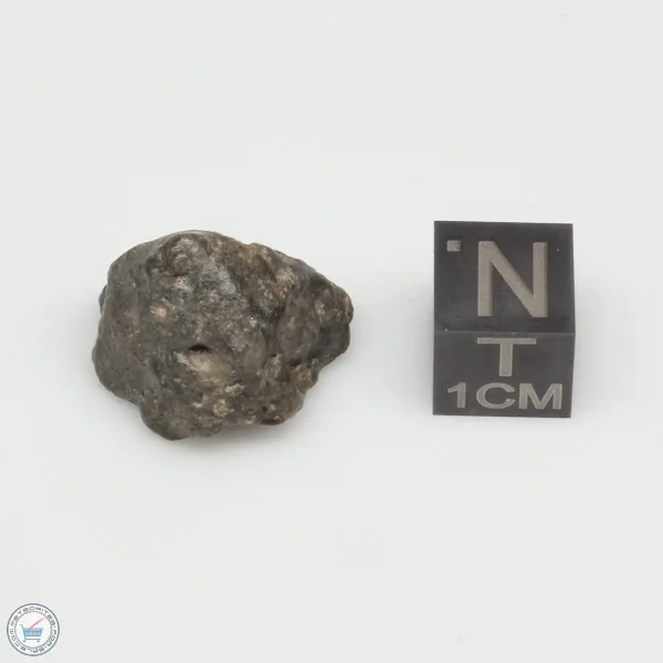 Laâyoune 002 Lunar Meteorite 4.31g Individual