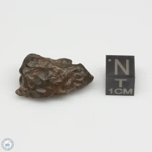 Laâyoune 002 Lunar Meteorite 5.30g Individual