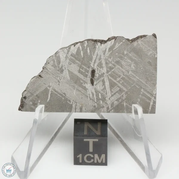 Muonionalusta Meteorite 19.3g