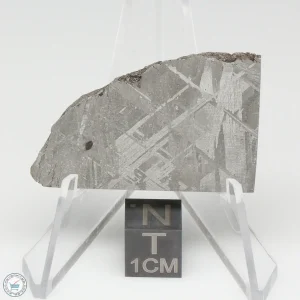 Muonionalusta Meteorite 20.2g