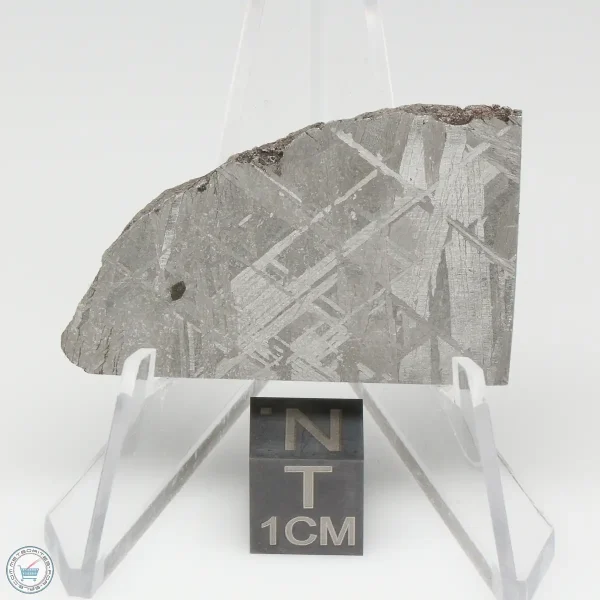 Muonionalusta Meteorite 20.2g