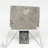 Muonionalusta Meteorite 20.9g
