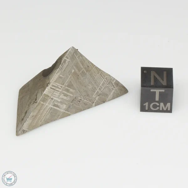 Muonionalusta Meteorite 19.8g